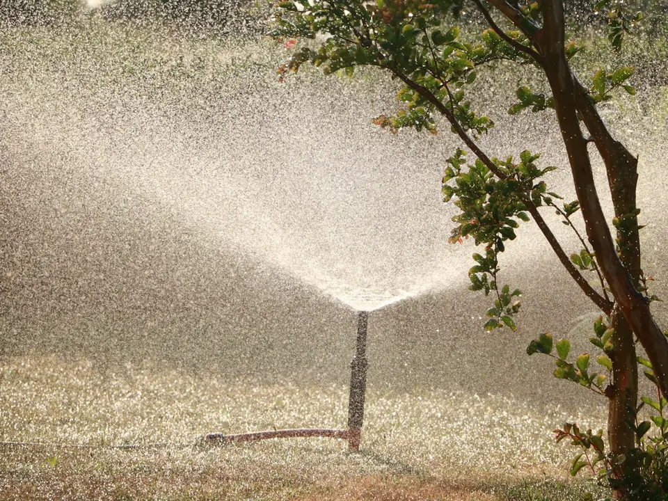 Rasensprenger bewässert eine Gartenfläche